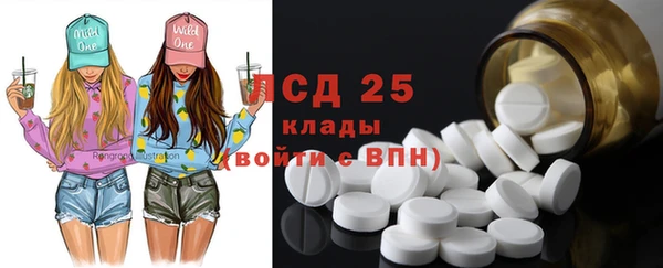 ПСИЛОЦИБИНОВЫЕ ГРИБЫ Абаза