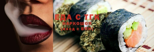 хмурый Алексин