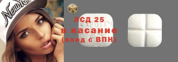 ПСИЛОЦИБИНОВЫЕ ГРИБЫ Абаза