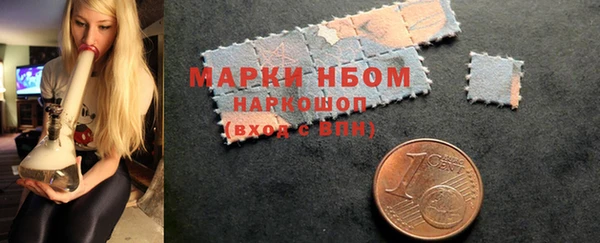 ПСИЛОЦИБИНОВЫЕ ГРИБЫ Абаза