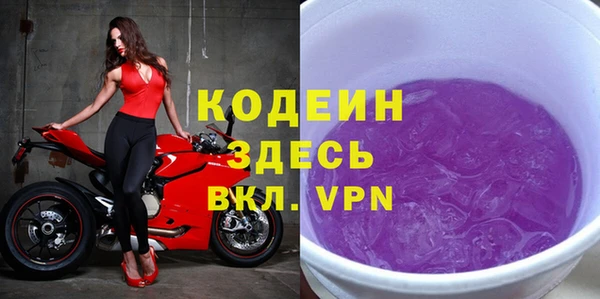 хмурый Алексин